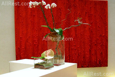 Hotel Amister 11